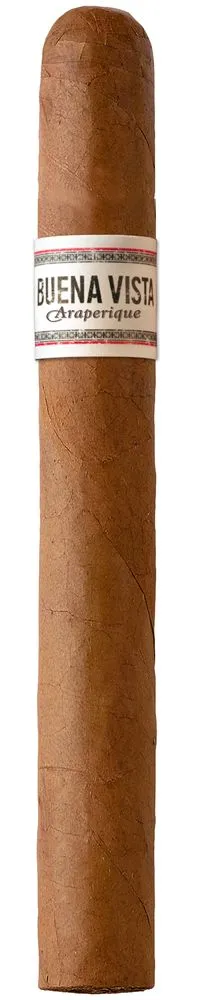 Buena Vista Araperique Churchill